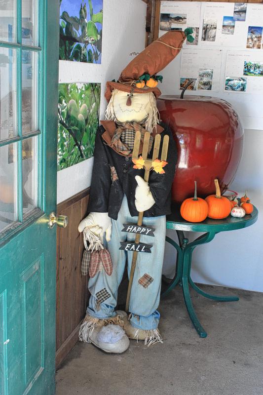 This guy says “Happy Fall,” so the season must be here. (JON BODELL / Insider staff) - 
