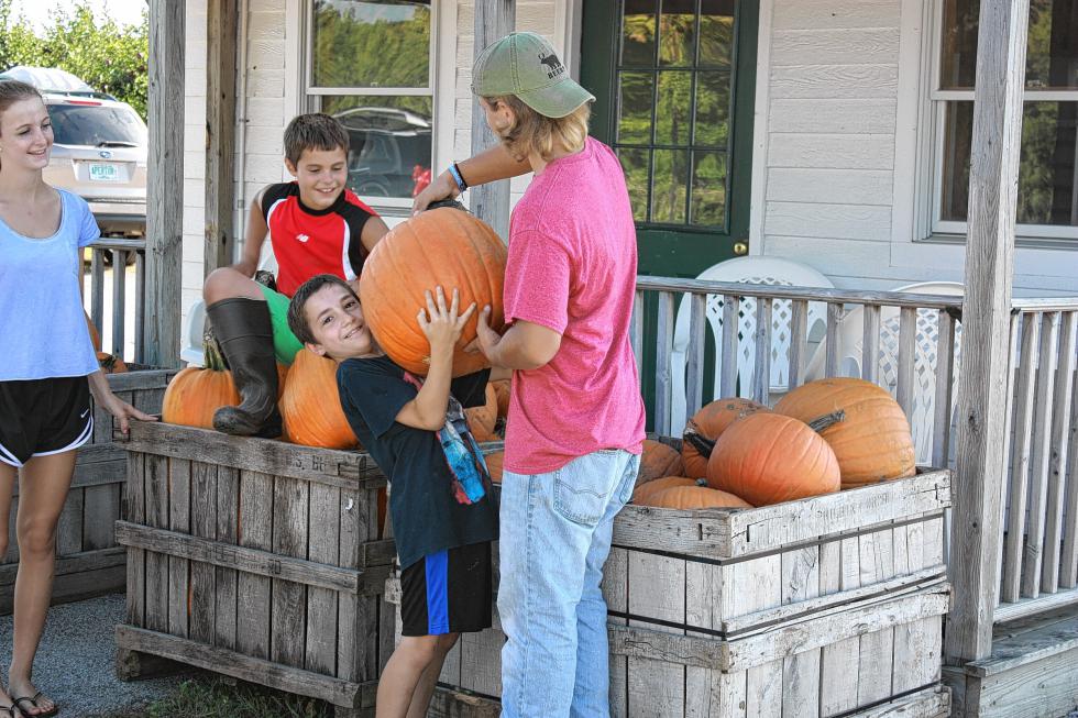 Erick Skinner helps Chris Demetriou, 8, carry a pumpkin while Kristen Kenison and Parker Larocque, 8, enjoy the sight. (JON BODELL / Insider staff) - 
