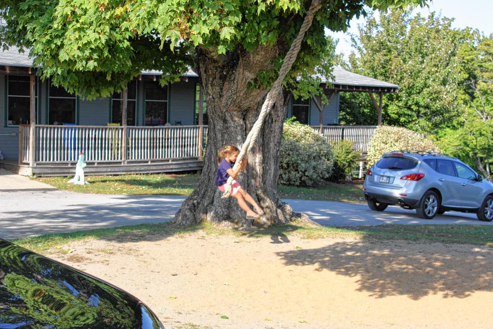 Ellianna Larocque takes a ride on the rope swing. (JON BODELL / Insider staff) - 
