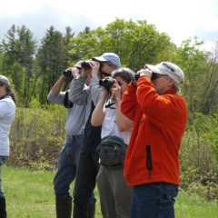 The Audubon needs your help with counting birds