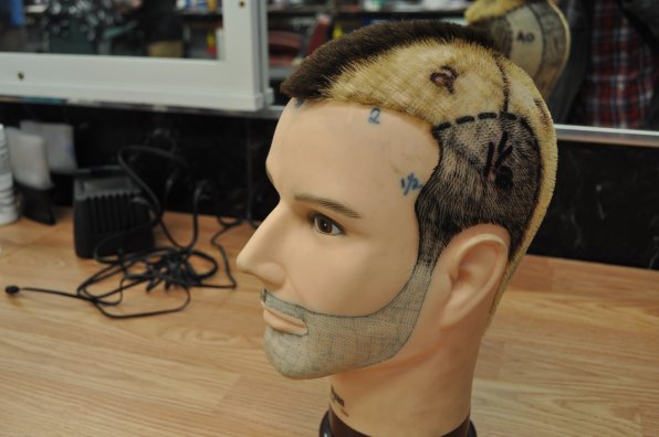 Do human heads have all those numbers under their hair, too?