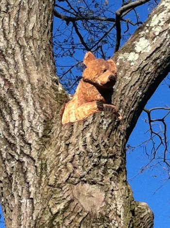 Is that a bear in that tree? Yup! But, don’t worry. it’s not a real one. Wait, it’s not a real one, right?