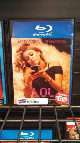 Based on the title, we’re assuming this is a documentary compiling the opinions of dozens of music and film critics on the career of Miley Cyrus. Featuring Demi Moore as the bearskin rug!