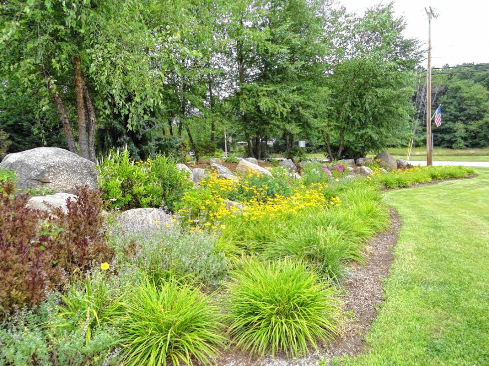 Want to know why Bow is so beautiful? Meet the Bow Garden Club The