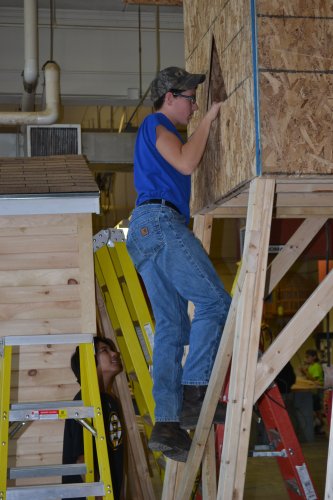 Jeffrey Hollins takes a peek inside his tree house.