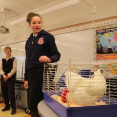 Show and tell got real when a chicken came to Christa McAuliffe School