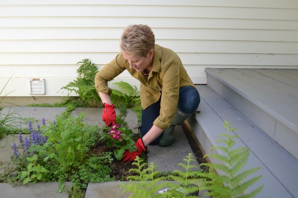 Judith Maloy loves gardening. That’s why she’s a member of the Concord Garden Club and has her lawn filled with all kinds of growy things.