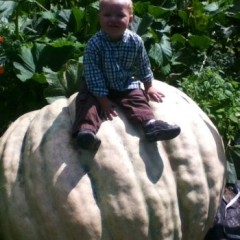 Scott Murray sure can grow a big pumpkin – 844 pounds kind of big