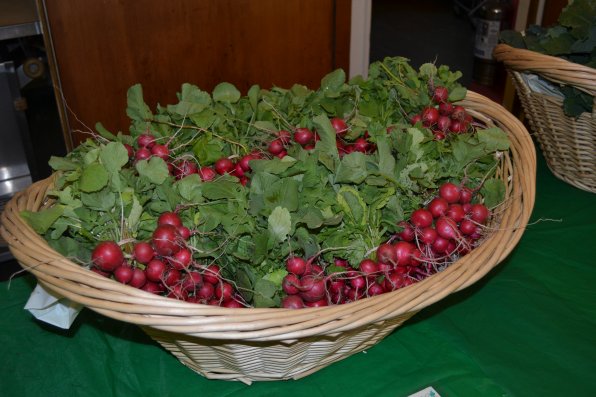 Now that’s a lot of radishes.