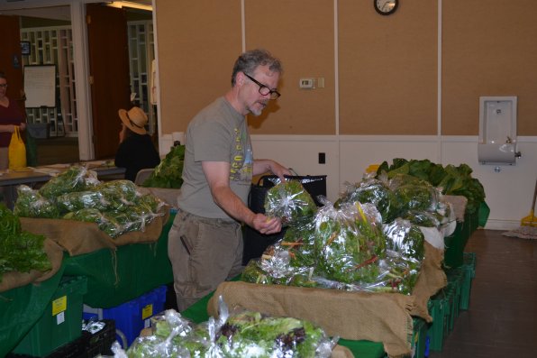 Larry Fernsworth picks out a bag of greens at the Local Harvest CSA last week at the Unitarian Church.