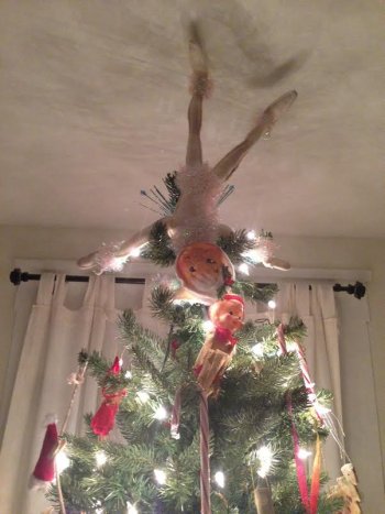 Holly channels her inner gymnast – on top of the tree.