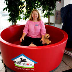 Giant dog bowl? Check – Tue, 03 Jul 2012