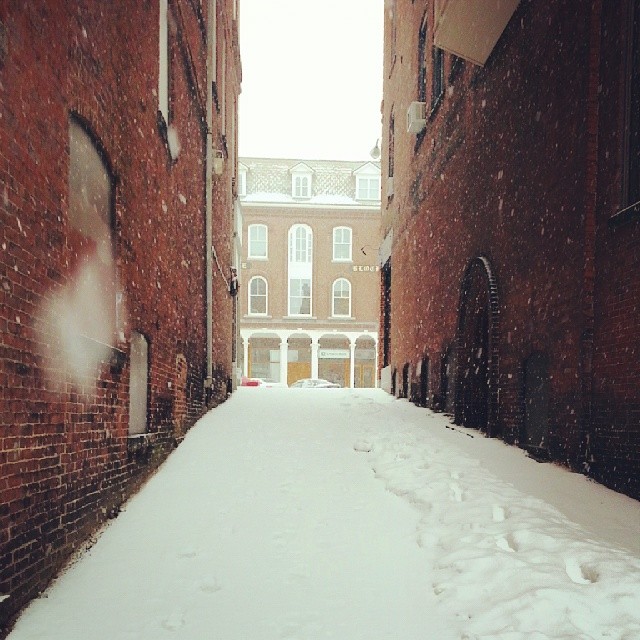 We’re not sure if you’ve noticed, but it snowed out a little bit this winter. Thanks to Instagram user @mcashion, we now have photographic evidence. This photograph has it all, from bookend downtown buildings to artful footsteps through the snow to a rogue snowflake attacking the camera! If you want to see your Instagram photos in the newspaper, just tag us when you post – we’re @concordinsider.