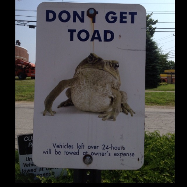 Frankly, this is just sound advice. But what does that picture of a frog have to do with anything? Thanks to Instagram user @matty_lee87 for the photo.