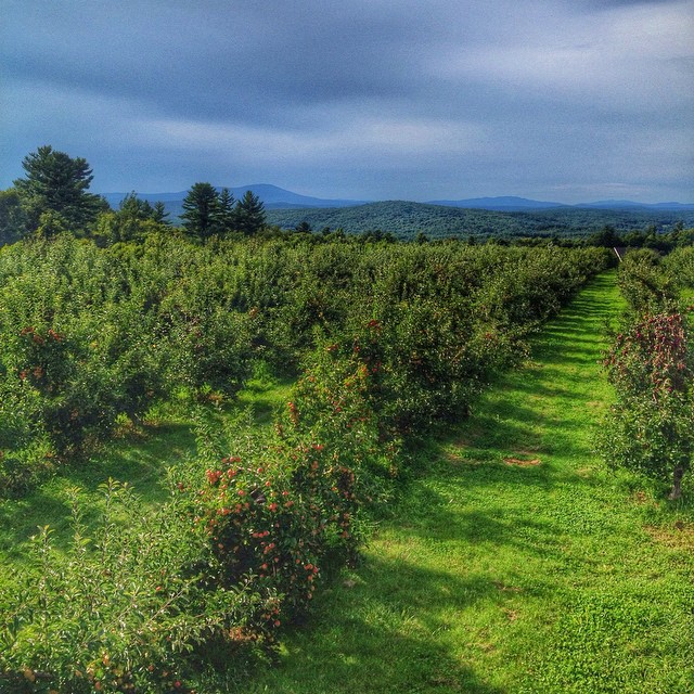 This ominous sky shot from Carter Hill Orchard seemed like the perfect Instagram photo for our fall guide. Well, short of a photo that said “Insider Fall Guide” in the clouds (lousy uncompromising Mother Nature). Thanks to Instagram user @christine99 for the pic!