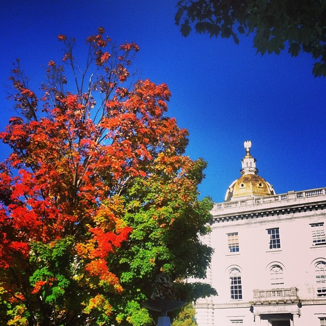 This lovely pic is from Instagram user @ chrissyc603 and should appeal to both leaf peepers and State House peepers. 