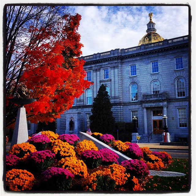 OH MY GOD SOMEONE CALL 911 THAT TREE IS ON FIRE, oh, wait, that’s just some stunning fall foliage captured outside the State House by Instagram user @mr_puppet_edenwald. Perhaps it’s nature’s way of reminding us to turn on the TV so we can catch the final week of scorching political ads roasting every candidate and every decision they’ve ever made. Us? We’re just voting for this photo. Want your Instagram picture to end up in the Insider? Tag us with#concordinsider when you post!