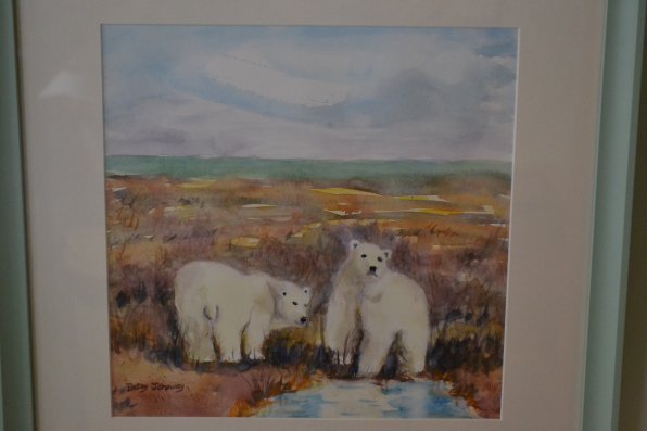Yearling Polar Bears.