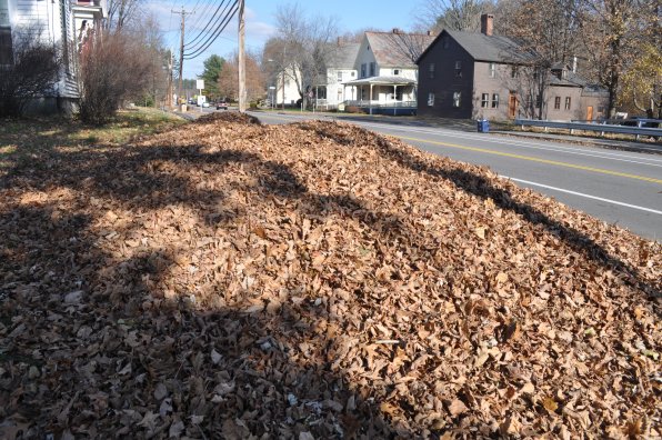 This leaf pile sat alongside Fisherville Road last week. Everybody jump in!