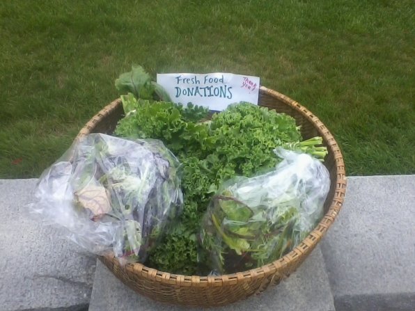 Want to help those struggling with hunger in your own backyard? Get involved with the N.H. Gleans network through the Merrimack County Conservation District in Concord. You might even be able to make an artfully displayed wicker basket full of green things and place it on a stone wall for a photo shoot before it heads off to help the people who need it.