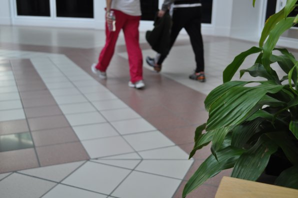 Walking in the mall doesn’t mean you have to miss out on nature. Look, a plant!