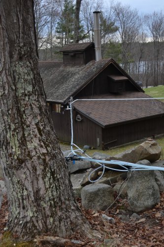 The tubing system that leads sap straight into the sugarhouse.