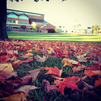 This lovely foliage shot came to us from Instagram user @kisscolson.