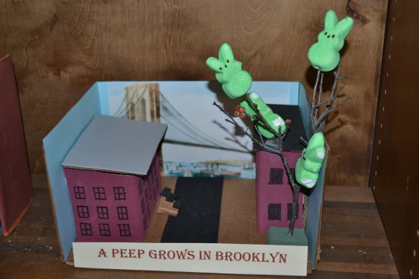 A Peep Grows in Brooklyn.