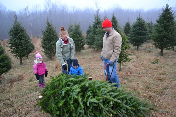 The Hirsch family, from left, Finley, Erin, Grayson and Dave, check out their new Christmas tree.