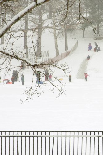 What else is there to do when a foot of new snow falls, besides mutter profanities under your breath? Go sledding! This action was captured over at White Park by reader Larry Levinson. Thanks, Larry!