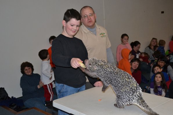 Davis Linzell, 8, of Concord made fast friends with Thorn, a Brazilian Tree Porcupine, by offering him a banana.