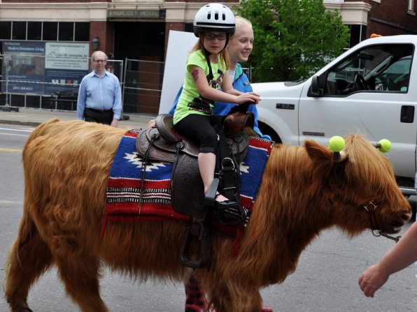 Bradyn Rose, 7, rides a Highland cow during the Spring Into Healthy Living Fair.