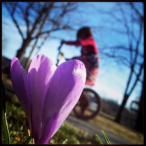 This shot comes to us from Instagram user @ayummymommy. We think it’s safe to say that spring has sprung in Concord!