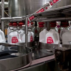 Where the milk comes from
