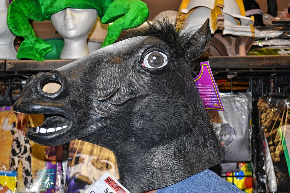 No, we didn’t find a real horse in the store, just Jon being Jon. (TIM GOODWIN / Insider staff) - 
