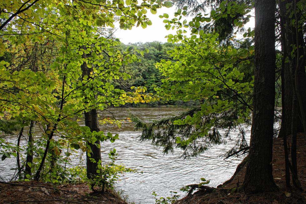 A view of the Merrimack River from the Sewalls Falls trail. (JON BODELL / Insider staff) - 
