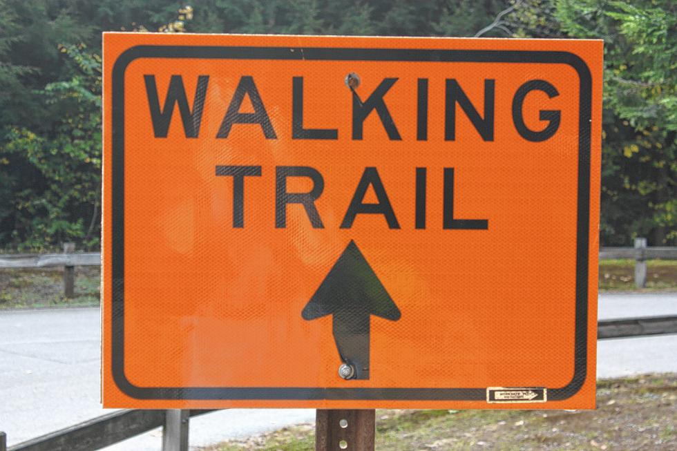 This sign at Sewalls Falls wants to make very clear that the walking trail is this way (even though this sign pointed right back to the street). (JON BODELL / Insider staff) - 
