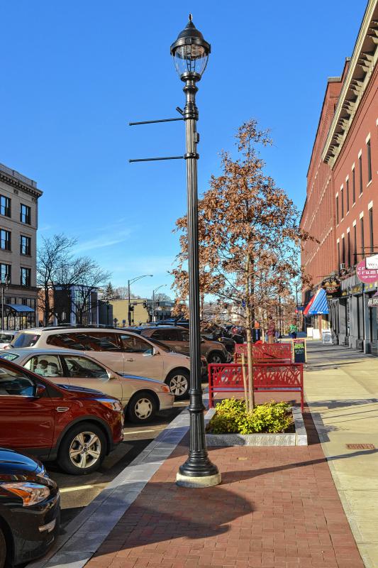 That’s a new light post, with a new tree behind it, sitting in a new planting bed, and there are new benches behind that. Impressive! (TIM GOODWIN / Insider staff) - 
