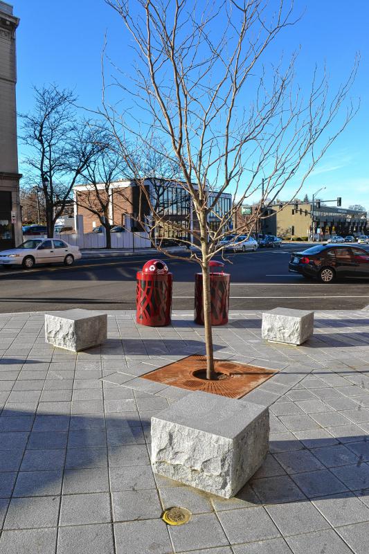One of the bumpouts on the sidewalk provides some granite blocks to sit on, a now-leafless tree to gaze at and some receptacles to throw your trash or recyclables in. Not bad. (TIM GOODWIN / Insider staff) - 
