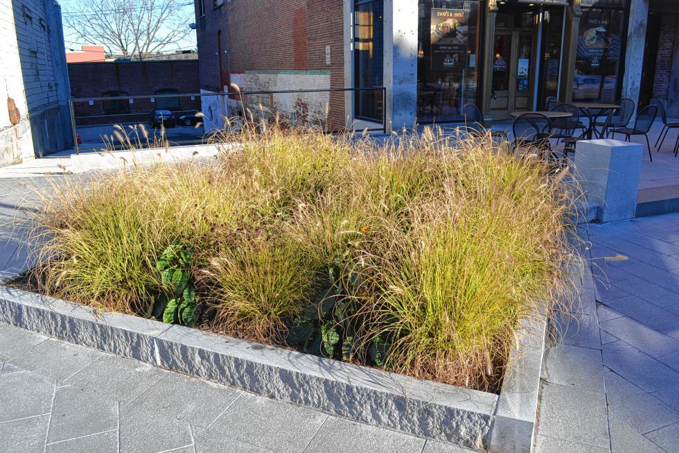 You can find planting beds like this one all over North Main Street now. (TIM GOODWIN / Insider staff) -