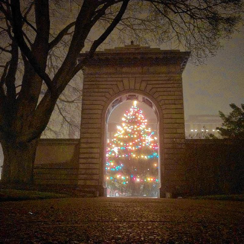 The Christmas tree in front of City Plaza is already quite breathtaking with its height and all the colored lights, but add in some dense fog and it made for one great photo opp last week for Instagram user  @iangoesoutside. And of course we had to share it with all of you – this is the decorations issue after all. - 

