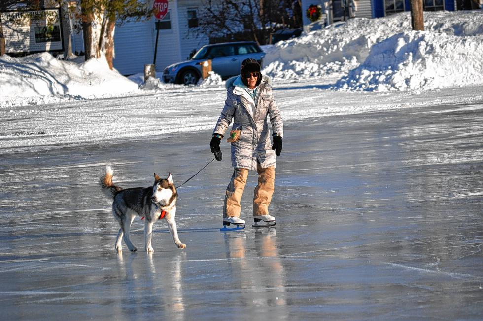 Who needs to learn to skate if you can just have your dog pull you? (TIM GOODWIN / Insider staff) -