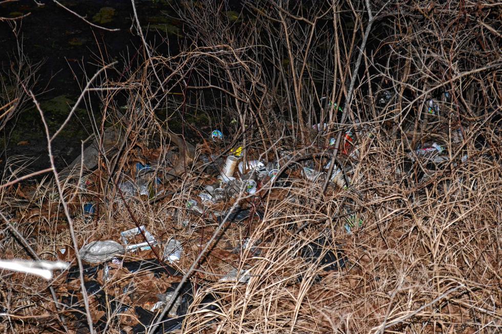 Just look at all that trash people just tossed over the embankment near Horseshoe Pond. That is not cool. (TIM GOODWIN / Insider staff) - 
