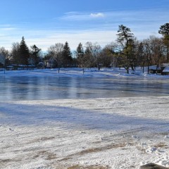 It’s a cold day at the office for the city’s pond-spraying crew