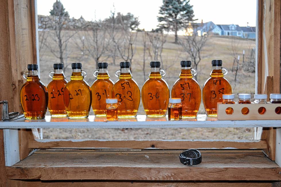 Look at all that delicious syrup. (TIM GOODWIN / Insider staff) -