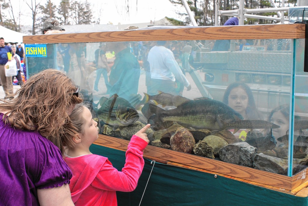 Courtesy photoYou could see some fish too at WILD N.H. Day on Saturday.