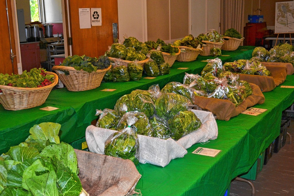 Tim Goodwin  / Insider staffLocal Harvest CSA starts another season of providing fresh veggies on May 25.