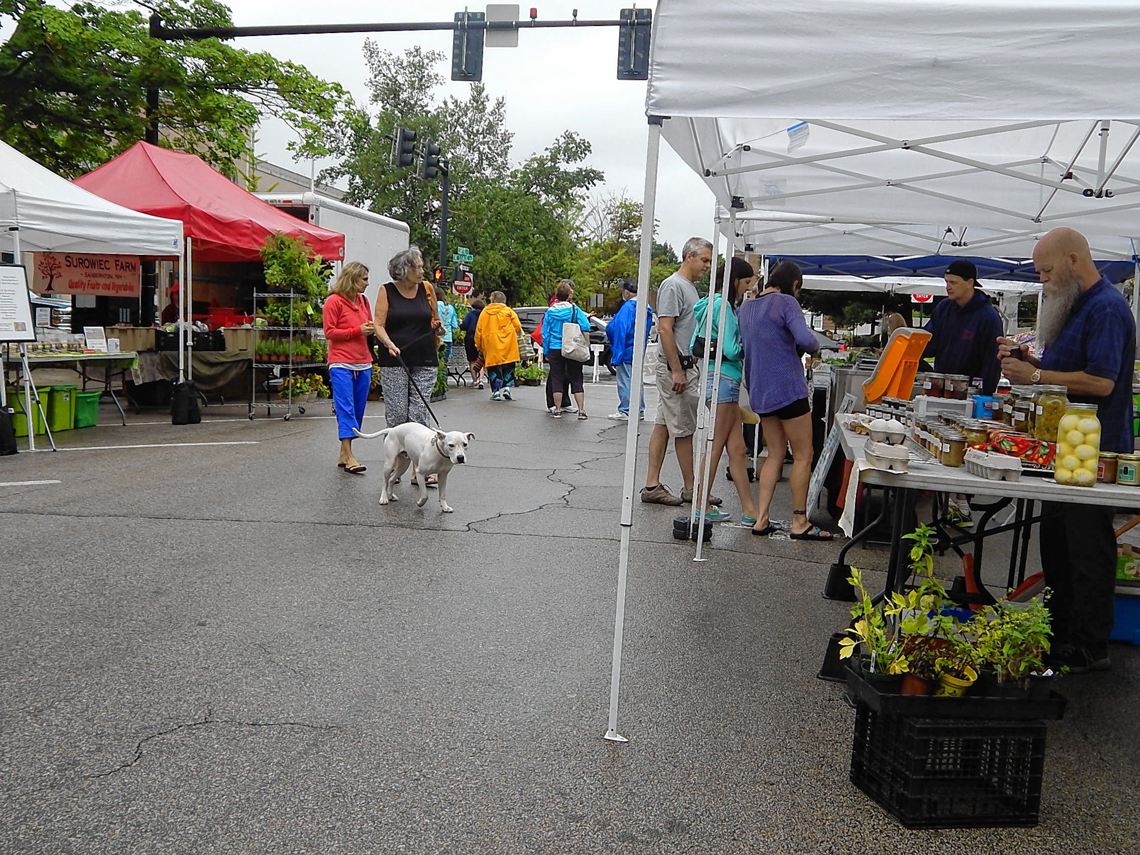 Megan takes in her first farmers markets The Concord Insider