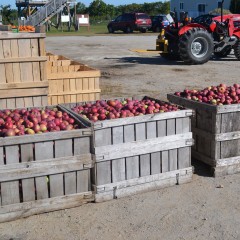 It’s getting pretty busy at the local orchards