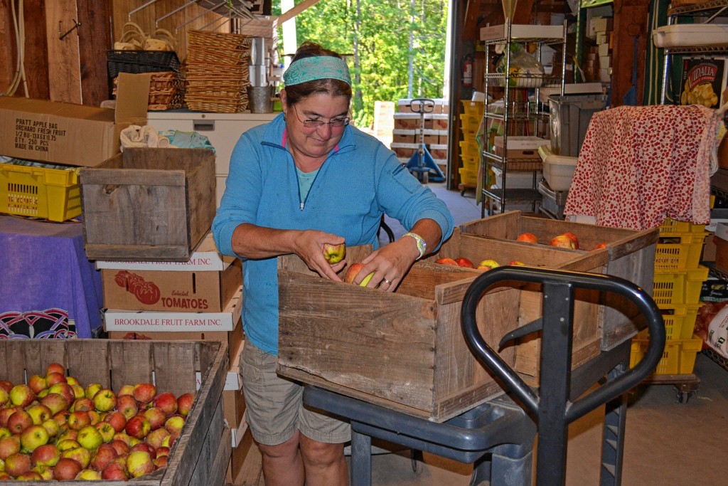 Tim Goodwin—Insider staffWe went to two apple orchards in one day to see what was going on.